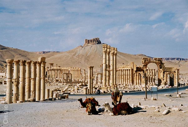 13_Palmyra