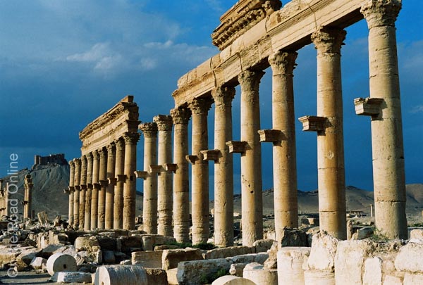 17_Palmyra