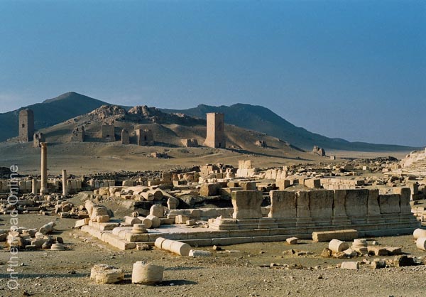 20_Palmyra