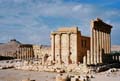 14_Palmyra